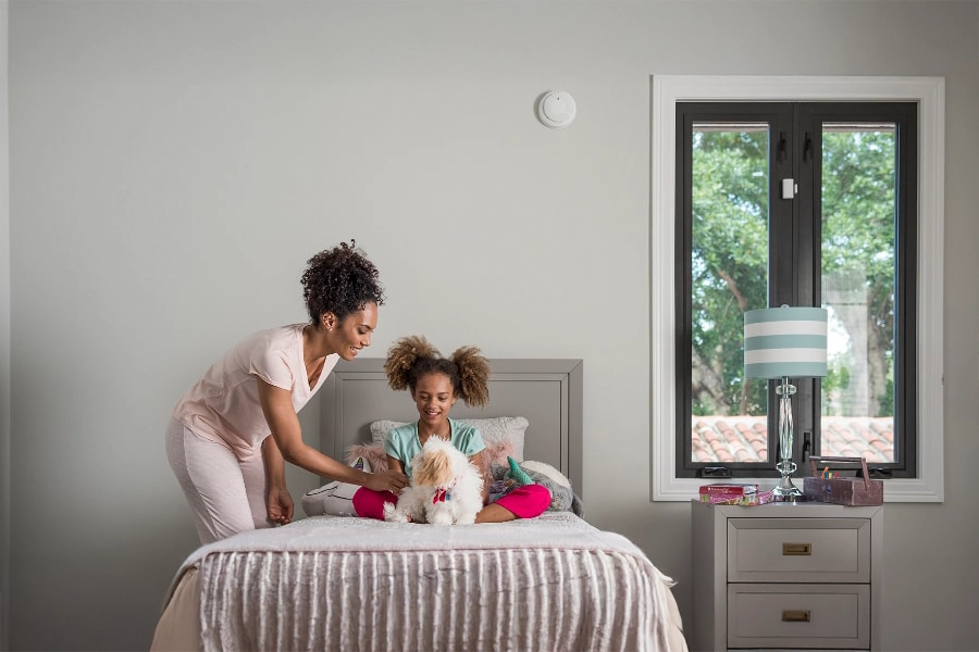 smoke & carbon detector Albany